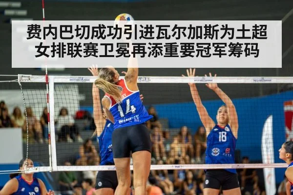 volleyball match action