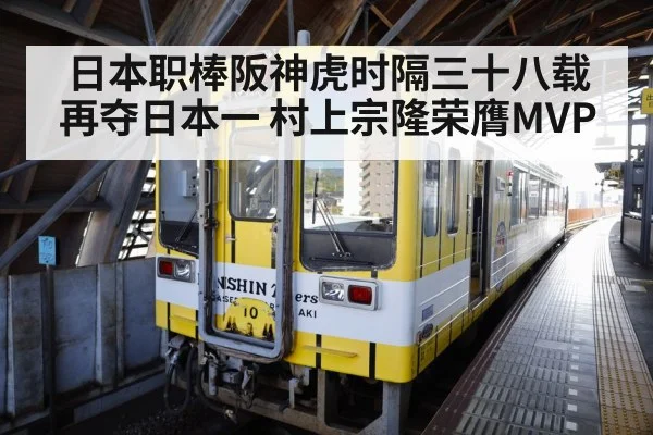 Hanshin Tigers celebration