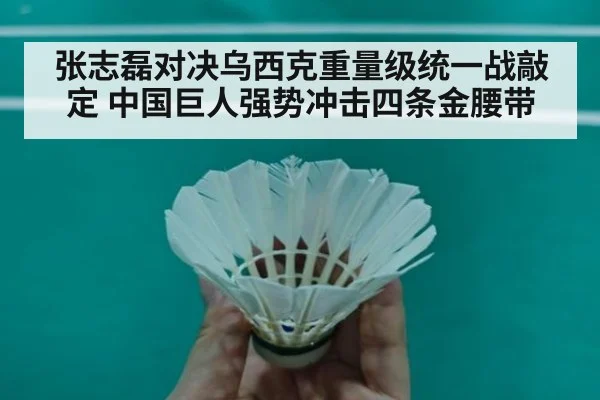 张志磊对决乌西克重量级统一战敲定 中国巨人强势冲击四条金腰带
